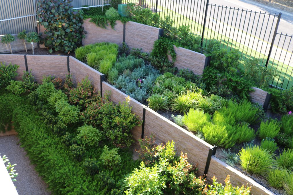 Mitcham — Adelaide garden project by Garden Design Solutions