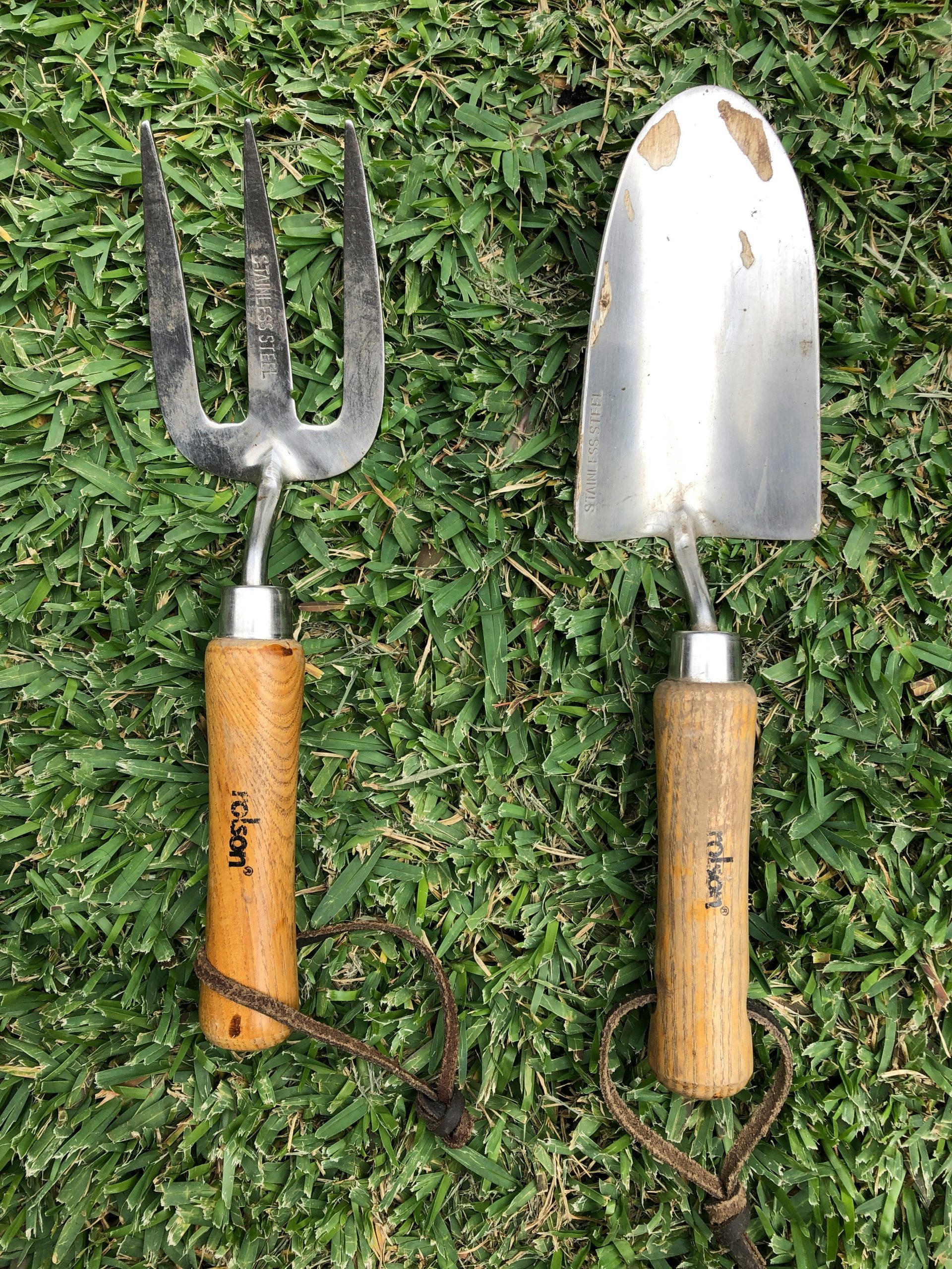 A set of essential gardening tools including a trowel, pruning shears, a hand fork, a watering can, a garden rake, and a spade laid out on garden soil.